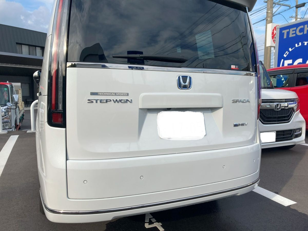 SS EMBLEM TECHNICAL SPORTS