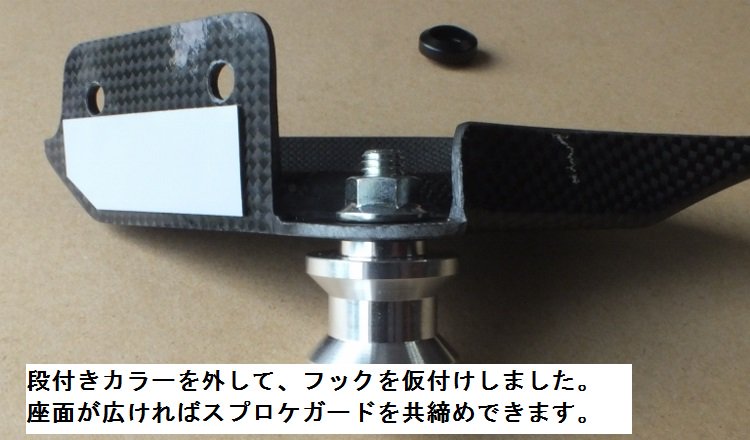 スプロケットガード ワークスタイプ カーボン