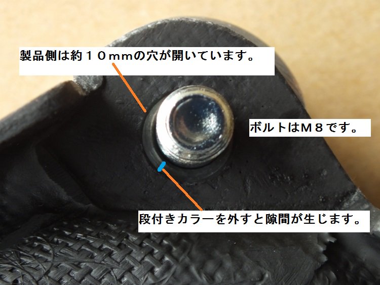 スプロケットガード ワークスタイプ カーボン