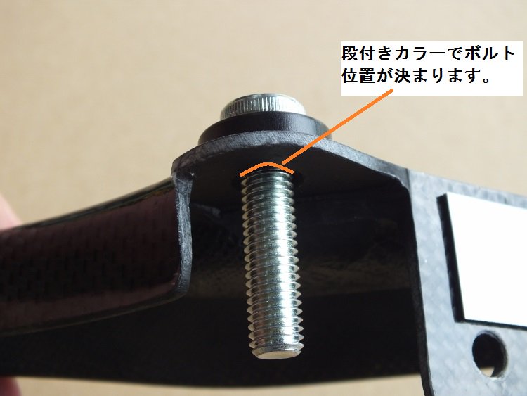 スプロケットガード ワークスタイプ カーボン