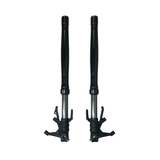 CB1000F (2025) Front Forks Left and Right Pair, Tuned